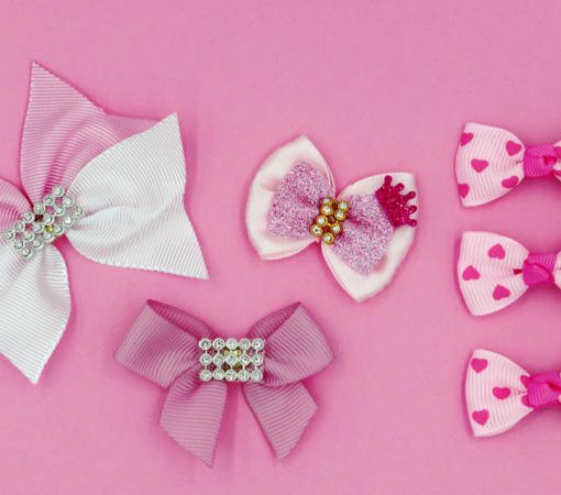 Lily Filly, a hair accessory brand founded by the young Black CEO, offers a variety of princess shimmer clips, bow-tie scrunchies, and plastic sneaker cover jibitz for children.
