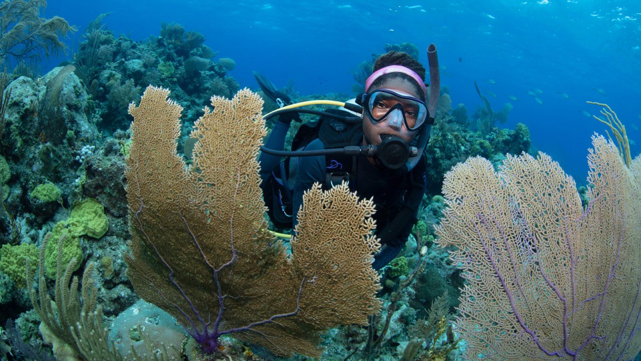 For Aliyah Griffith, becoming a marine scientist has been a goal since she was merely 5 years old. Now, this lifelong dream is becoming a reality, as Griffith has become the first Black student to earn a graduate degree in marine science from the University of North Carolina at Chapel Hill (UNC-Chapel Hill).